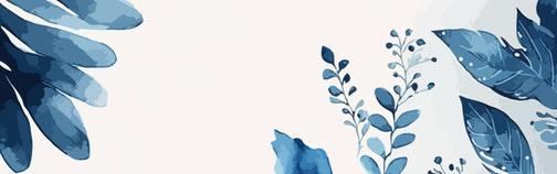 Maria Helena Caldas Petroni